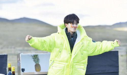 任嘉伦吃瓜娱乐节目,揭秘明星幕后趣事